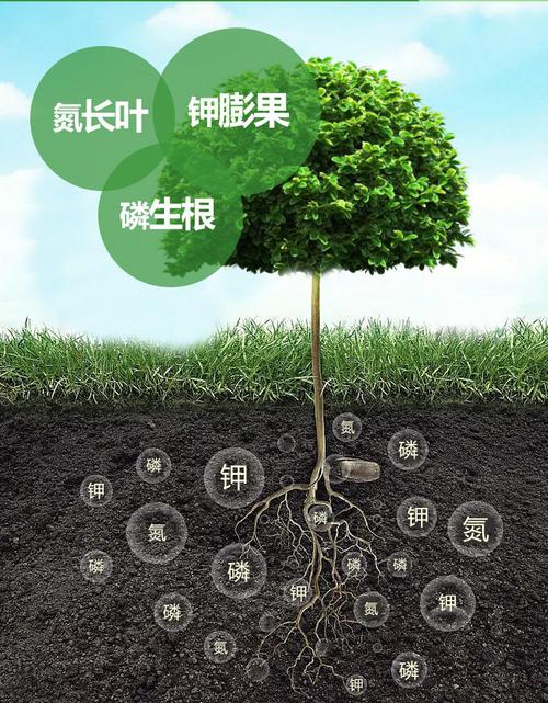 磷肥作用和功效