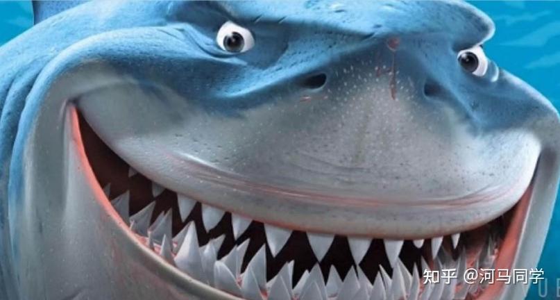 为什么鲨鱼一生都在换牙齿?的相关图片