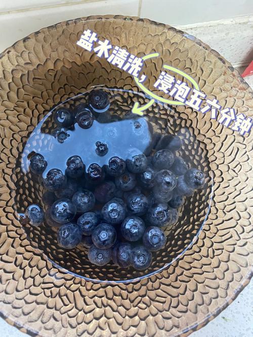 蓝莓怎么清洗的相关图片