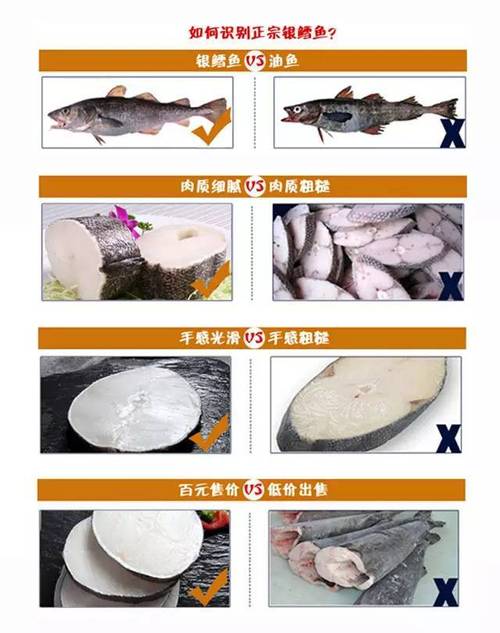 鳕鱼和银鳕鱼的区别的相关图片