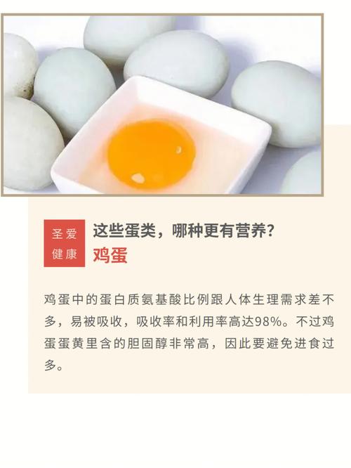 鸭蛋和鸡蛋哪个有营养的相关图片